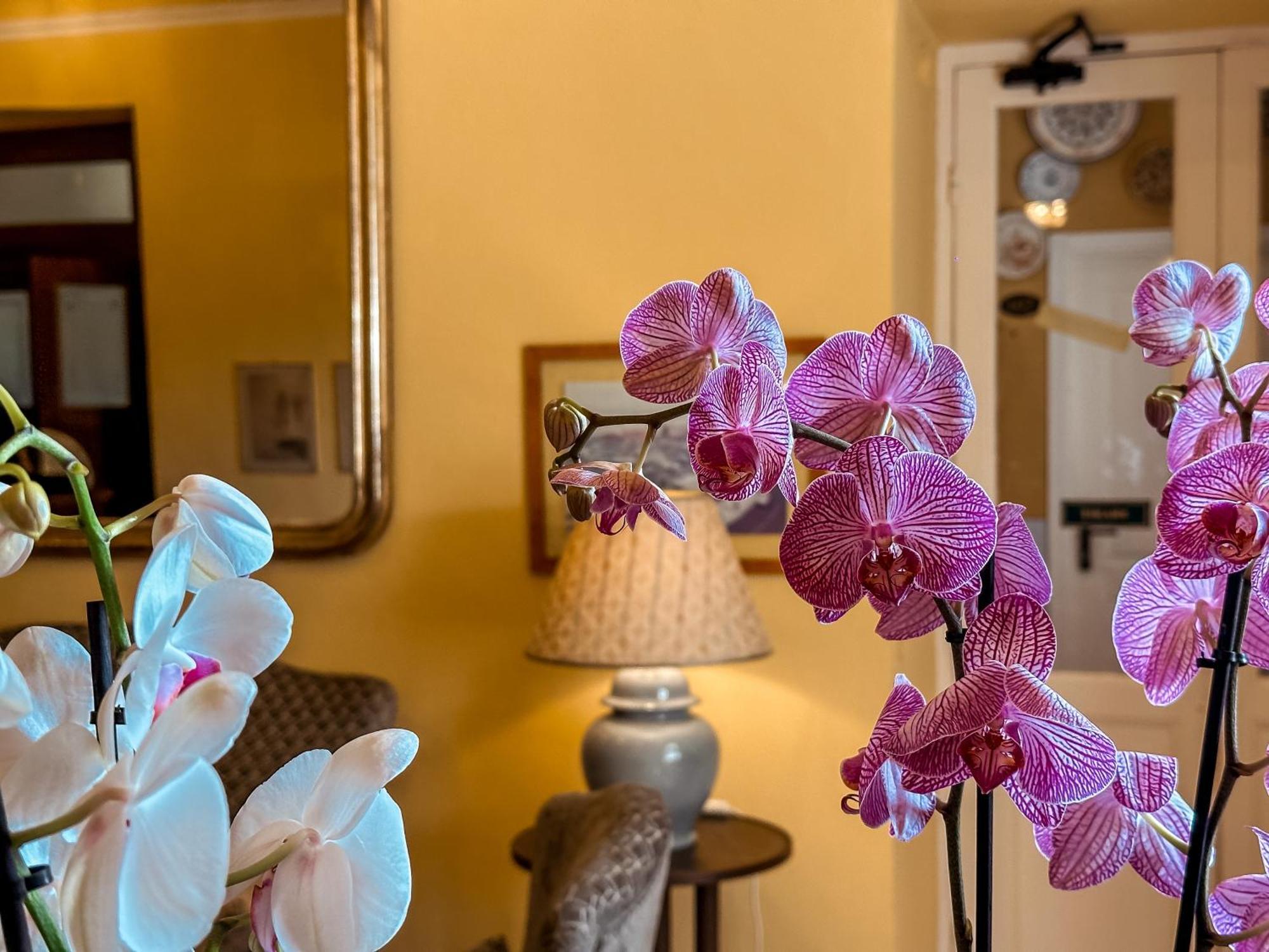 Hotel Villa Anita Santa Margherita Ligure Ngoại thất bức ảnh